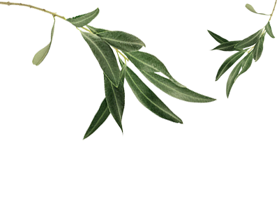 Başlık